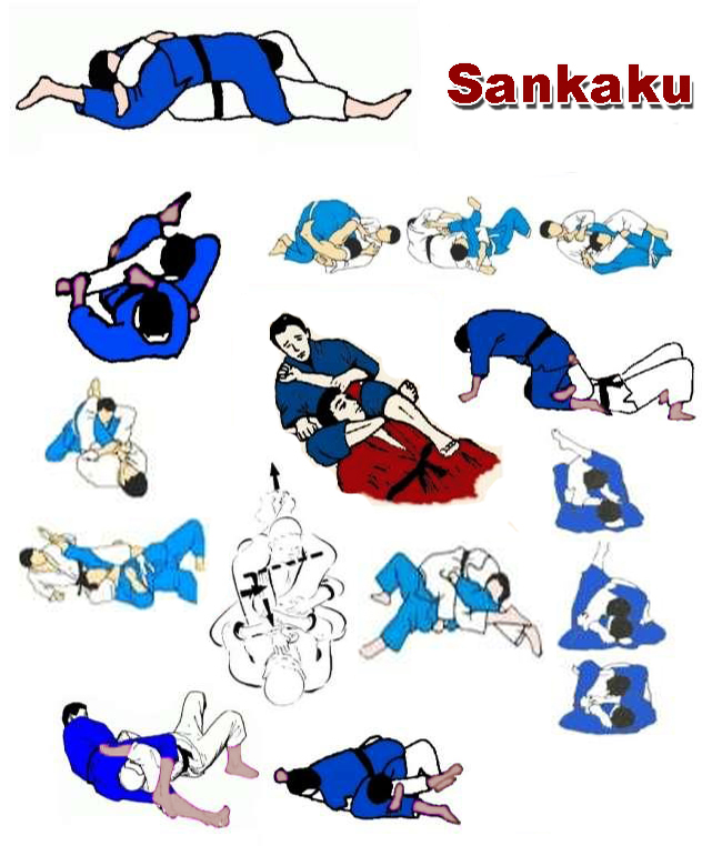 Considerazioni sul Ne Waza“Continuità tra (Tachi waza) e (Ne waza)” del M° Sulli.